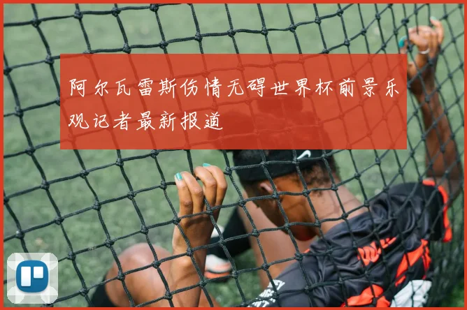 阿尔瓦雷斯伤情无碍世界杯前景乐观记者最新报道